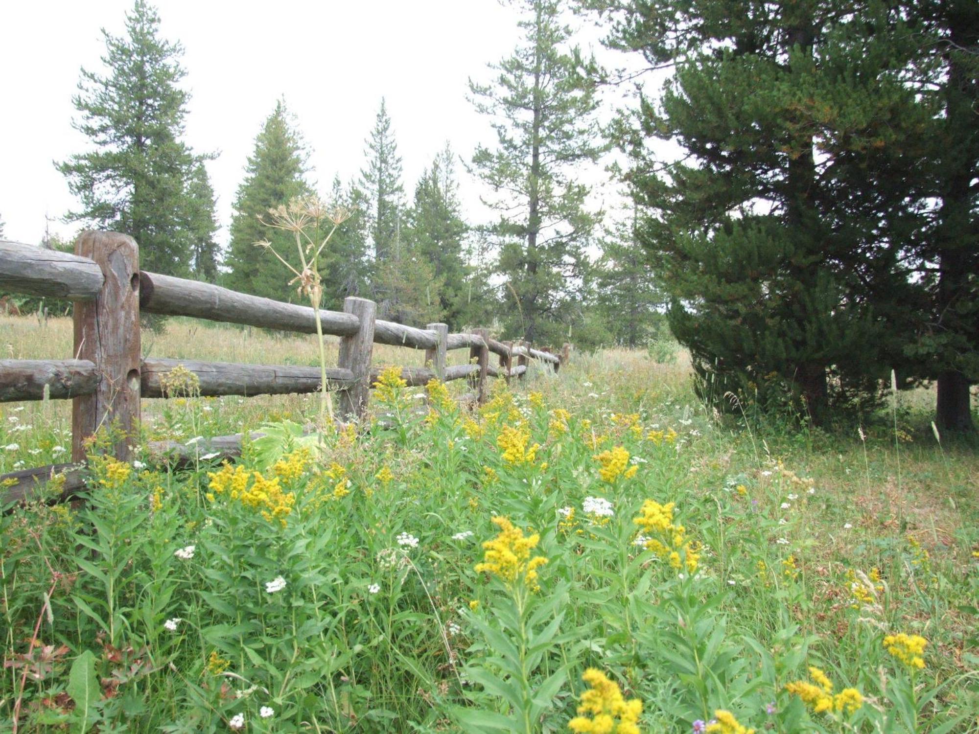 Eagle Ridge Ranch Island Park Exterior foto